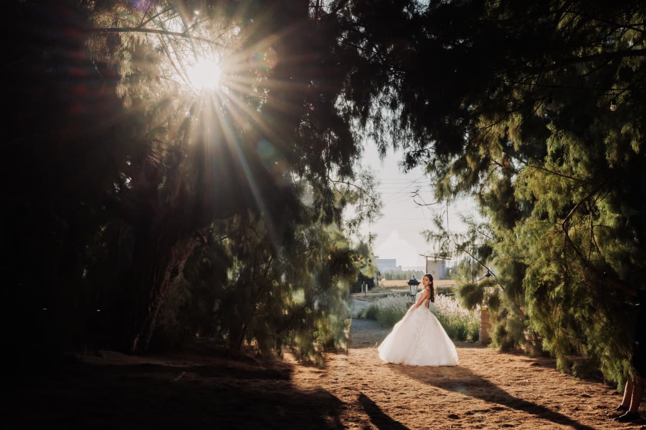 WhatsApp Image 2025-12-08 at 4.53.01 PM